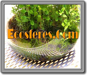 Ecosferes by Dapacu
